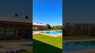 Beautiful swimming pool in the farmhouseviral trending ytshorts dubai subscribe 🏝🥹💯👌🇦🇪 [upl. by Eelana]