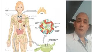 Hematopoietic System Revision by DrFawzy Abou Galala MD [upl. by Rehposirhc]