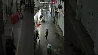 ShortC5 Lesionado  C5 CDMX Iztapalapa VideoDeLaSemana [upl. by Erdnassak779]