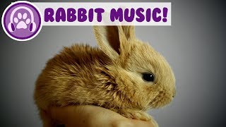 Music for Rabbits Calm and Soothe Your Rabbit and Stop Anxiety [upl. by Phelan]