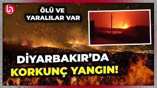 SON DURUM Ciğerimiz yanıyor Diyarbakır ve Mardinde çok büyük yangın [upl. by Fellows]