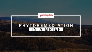 PHYTOREMEDIATION  IN A BRIEF [upl. by Eeruhs]