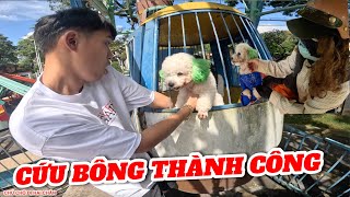 KẾ HOẠCH BỎ THUỐC SỔ CỨU BÔNG THÀNH CÔNG THOÁT KHỎI TAY KẺ TRỘM CHÓ  CHÚ CHÓ ĐI HAI CHÂN [upl. by Nitreb625]