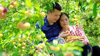 Pick plums to sell Husband makes a birdhouse Wife cooks traditional Bun Cha [upl. by Bik]