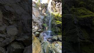 Chasing waterfalls in Okanagan Valley BC 🇨🇦 okanagan britishcolumbia kelownabc [upl. by Llenoil823]