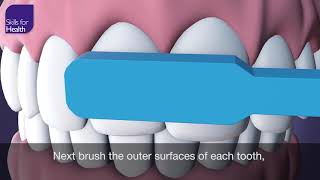 How to Brush Your Teeth Animation MCM [upl. by Lanoil]