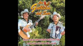 LOS GALLITOS DEL SUR  AMOR SAGRADO [upl. by Freddy]