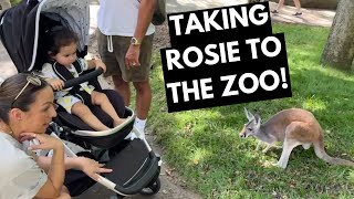 Taking Rosie to the Zoo  Anjelah JohnsonReyes [upl. by Ole]