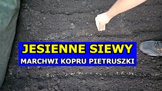 Siewy Jesienią Marchwi Pietruszki Kopru Pasternaku Jak siać Warzywa przed Zimą Polecane Odmiany [upl. by Yhtomit361]