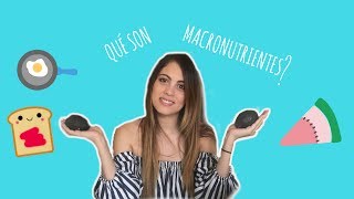 ¿Qué son los macronutrientes [upl. by Yadahs]