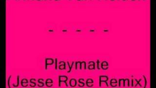 Armand Van Helden  Playmate Jesse Rose Remix [upl. by Eelymmij]