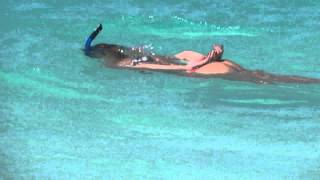 Snorkeling Anguilla Shoal Bay [upl. by Childs]