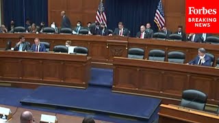 House Oversight Committee Holds A Hearing On ThirdParty Litigation Funding [upl. by Dwane]