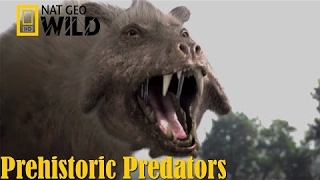 Best Documentary of All Time National Geographic Documentary  Prehistoric Predators Killer Pig [upl. by Earehs492]