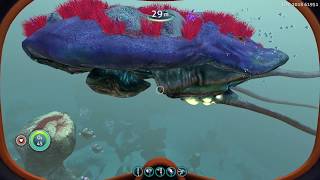 Subnautica  ALL LEVIATHAN CLASS LIFEFORMS [upl. by Nomael]