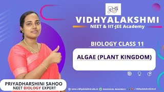 Class 11  Algae Plant Kingdom  NCERT  NEET [upl. by Yllitnahc33]