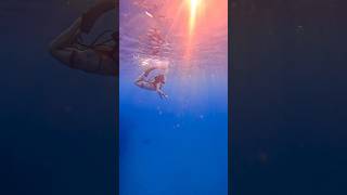 ☀️ underwater sunset freediver freediving [upl. by Meikah760]