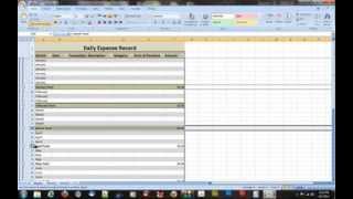 How to Create a Daily Expense Record in Microsoft Excel 2007 [upl. by Sapphire]