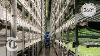 A Vertical Farm Grows In Newark  The Daily 360  The New York Times [upl. by Sigismondo727]