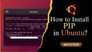 How to install PIP in Ubuntu [upl. by Freyah]