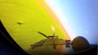 Crop Dusting  Air Tractor 802  Muleshoe Tx  Video 2 [upl. by Risay]