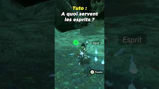 Zelda  Comment utiliser les esprits 👻 Tears of The Kingdom [upl. by Ydner]