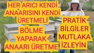 EN KOLAY VE EN VERİMLİ ANAARI ÜRETİMİARIYI HIZLI GELİŞTİRME 1BÖLÜMarıarıcılıkbeeyalvaç [upl. by Shaikh]