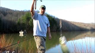 WV trout fishing limit [upl. by Aneladgam]