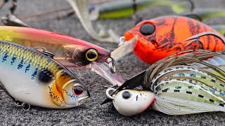 Top 5 quotMust Have Baitsquot For Spring Bass Fishing [upl. by Musetta779]