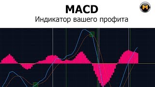 MACD  4 сигнала на Профит  детальное описание и принцип работы [upl. by Eiltan]