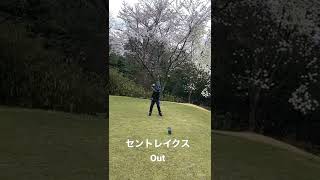 202243 セントレイクス 桜 Golf in Japan Titleist U510 振り上げだけスローになってしまった [upl. by Rekoob]