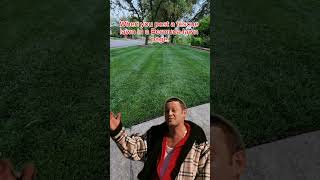 Fescue lawn haters [upl. by Burnard]