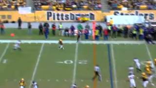 Steelers vs Ravens 2009 [upl. by Ashton]