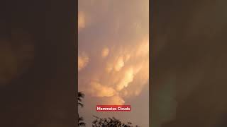 Mammatus Clouds sohambanerjeeonline mammatus [upl. by Hendricks]