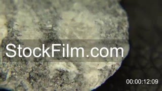 Gneiss Rock Extract [upl. by Yorle803]