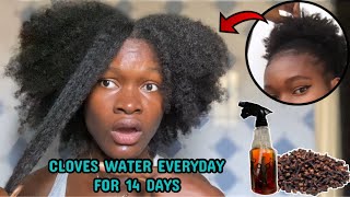 I’M STILL SHOCKED  I used cloves on my hair everyday for 2 weeks and this happened [upl. by Jordans]