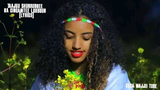 Taajuu Shurrubbee  Yaadaan Lubbuun Lyrics New Oromo Music 2024 [upl. by Ardnuhs341]