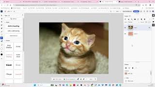 Quick Tour of the Photoshop workspace [upl. by Esimaj264]