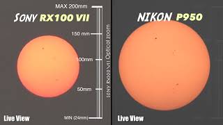 Sony RX100 VII Vs Nikon Coolpix P950 Cameras  Dont Buy Until You WATCH This [upl. by Maxy]