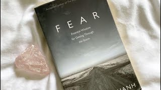 Fear by Thich Nhat Hanh the realm of feelings [upl. by Dita]