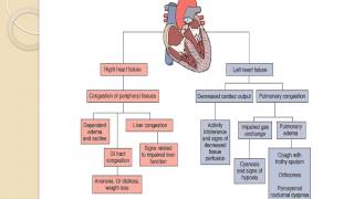 Pediatric Cardiac Lecture [upl. by Layod]