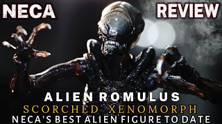 NECA SCORCHED XENOMORPH FIGURE REVIEW ALIEN ROMULUS [upl. by Ayaros]