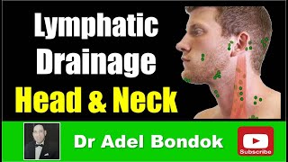 Lymphatic Drainage of the Head and Neck Dr Adel Bondok [upl. by Phillipe]