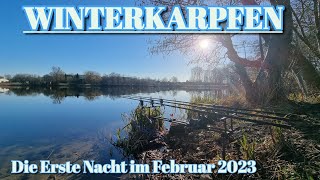 Karpfenangeln im Winter Geht da schon was Februar 2023 [upl. by Soraya]