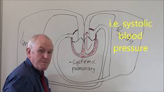 Heart 3 Pulmonary and Systemic circulation [upl. by Hooke]