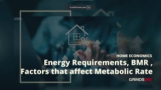 Energy Requirements  Leaving Certificate Home Economics [upl. by Aleicarg]