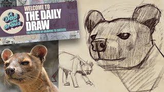 Drawing a Madagascar Fossa for Beginners Quick and Fun Tutorial [upl. by Imoyaba]