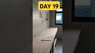 2 Room Flexi Day 19 Renovation [upl. by Alexis246]