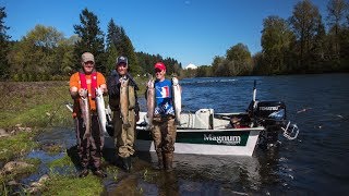 Clackamas River Steelhead [upl. by Alletniuq449]