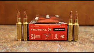 224 Valkyrie Cartridge Full Profile  223 vs 224 Valkyrie vs 22 Nosler [upl. by Duffy]